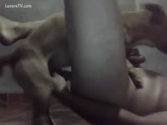 Beastiality fetish movie scene featuring a man jerking off while he is being gazoo drilled by a dog